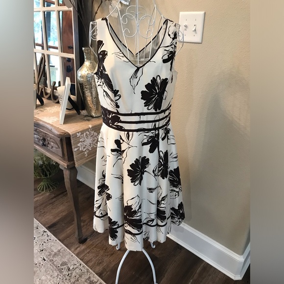 Dress Barn Dresses & Skirts - Dress Barn dress, NWOT, Off white and dark brown, Size 8.